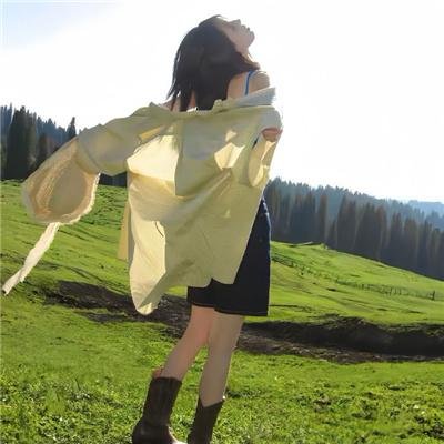 关于哈利的那些事