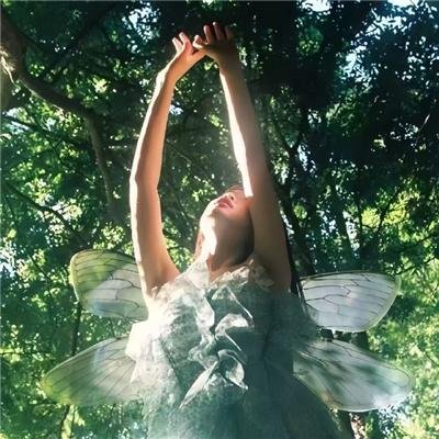 明星大侦探第六季